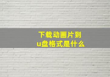 下载动画片到u盘格式是什么