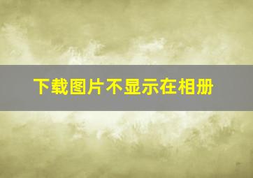 下载图片不显示在相册