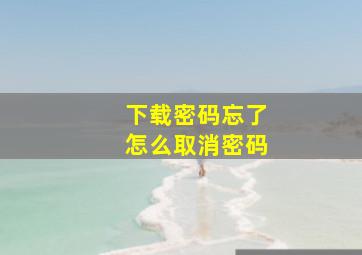 下载密码忘了怎么取消密码