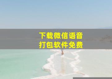 下载微信语音打包软件免费