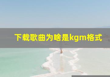 下载歌曲为啥是kgm格式