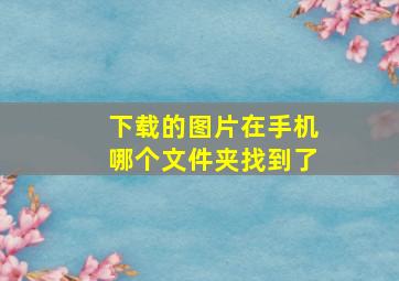 下载的图片在手机哪个文件夹找到了