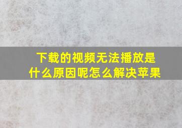 下载的视频无法播放是什么原因呢怎么解决苹果