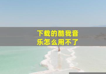 下载的酷我音乐怎么用不了