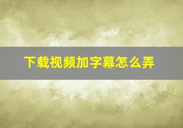 下载视频加字幕怎么弄