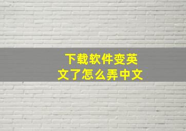 下载软件变英文了怎么弄中文