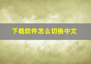 下载软件怎么切换中文