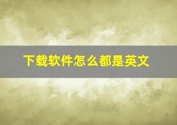 下载软件怎么都是英文