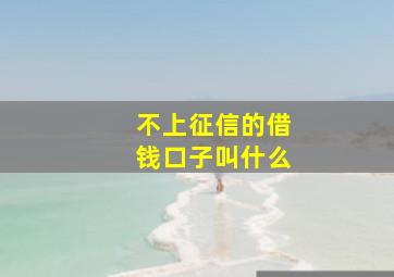 不上征信的借钱口子叫什么