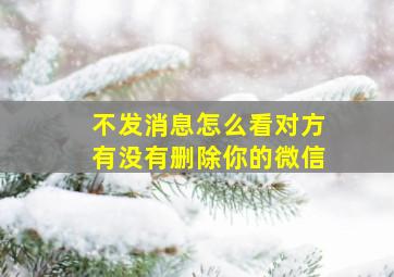 不发消息怎么看对方有没有删除你的微信