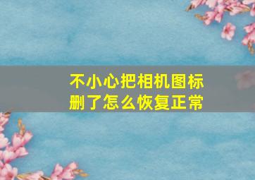 不小心把相机图标删了怎么恢复正常