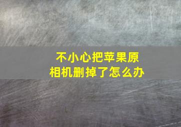 不小心把苹果原相机删掉了怎么办