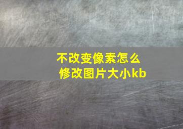 不改变像素怎么修改图片大小kb