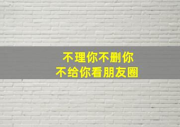 不理你不删你不给你看朋友圈