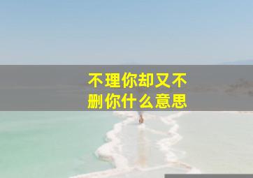 不理你却又不删你什么意思