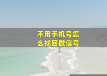 不用手机号怎么找回微信号