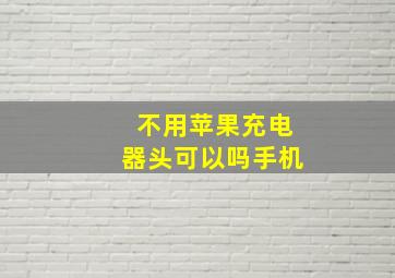 不用苹果充电器头可以吗手机