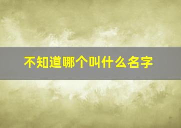 不知道哪个叫什么名字