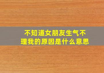 不知道女朋友生气不理我的原因是什么意思