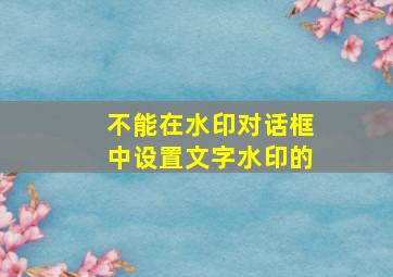 不能在水印对话框中设置文字水印的