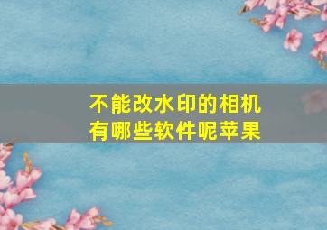 不能改水印的相机有哪些软件呢苹果