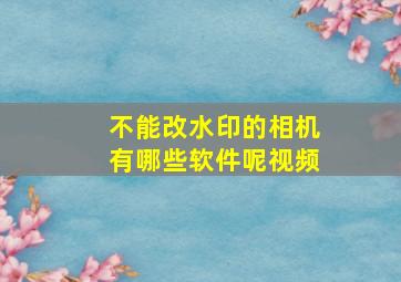 不能改水印的相机有哪些软件呢视频