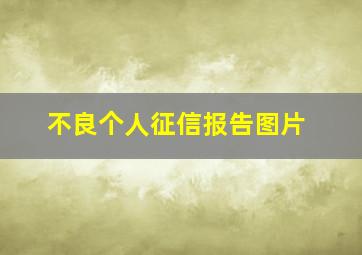 不良个人征信报告图片