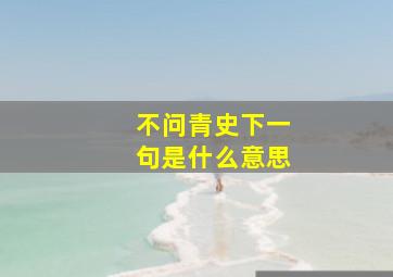 不问青史下一句是什么意思