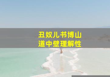 丑奴儿书博山道中壁理解性