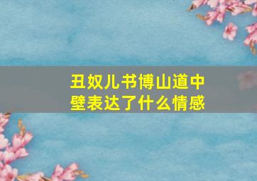 丑奴儿书博山道中壁表达了什么情感