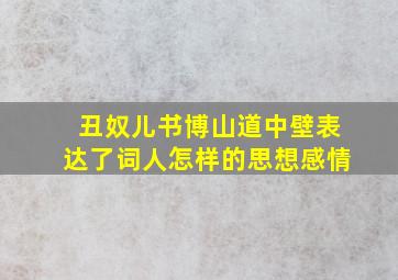 丑奴儿书博山道中壁表达了词人怎样的思想感情