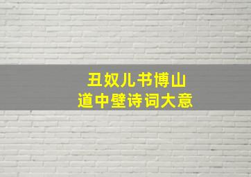 丑奴儿书博山道中壁诗词大意