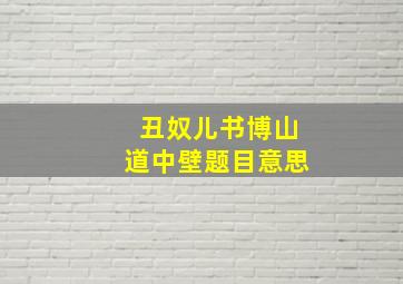 丑奴儿书博山道中壁题目意思