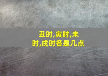 丑时,寅时,未时,戍时各是几点