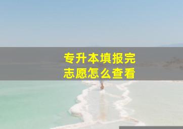 专升本填报完志愿怎么查看