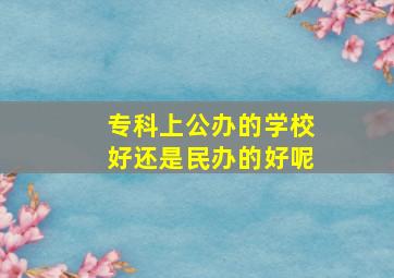 专科上公办的学校好还是民办的好呢