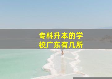 专科升本的学校广东有几所