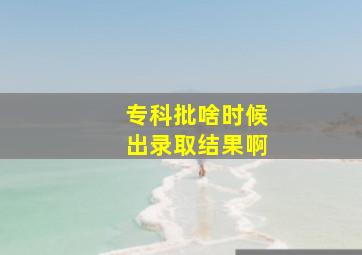 专科批啥时候出录取结果啊