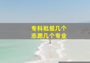 专科批报几个志愿几个专业