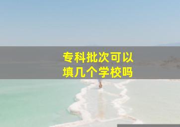 专科批次可以填几个学校吗