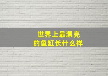 世界上最漂亮的鱼缸长什么样