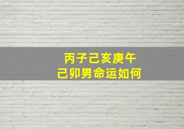 丙子己亥庚午己卯男命运如何