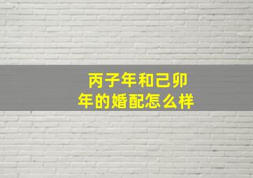 丙子年和己卯年的婚配怎么样