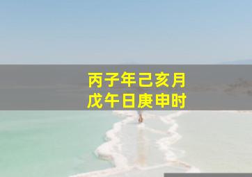 丙子年己亥月戊午日庚申时