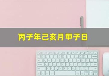 丙子年己亥月甲子日