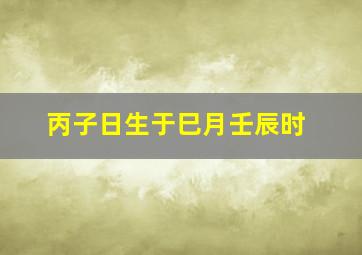 丙子日生于巳月壬辰时