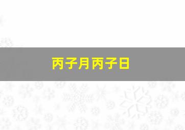 丙子月丙子日