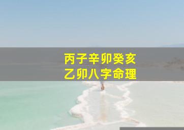 丙子辛卯癸亥乙卯八字命理