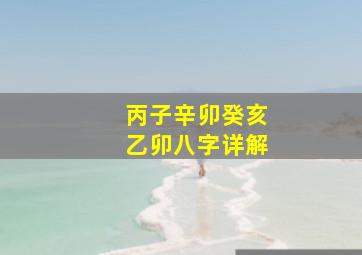 丙子辛卯癸亥乙卯八字详解