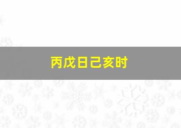 丙戊日己亥时